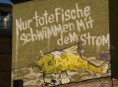 /album/weltkritik/tote-fische-jpg/